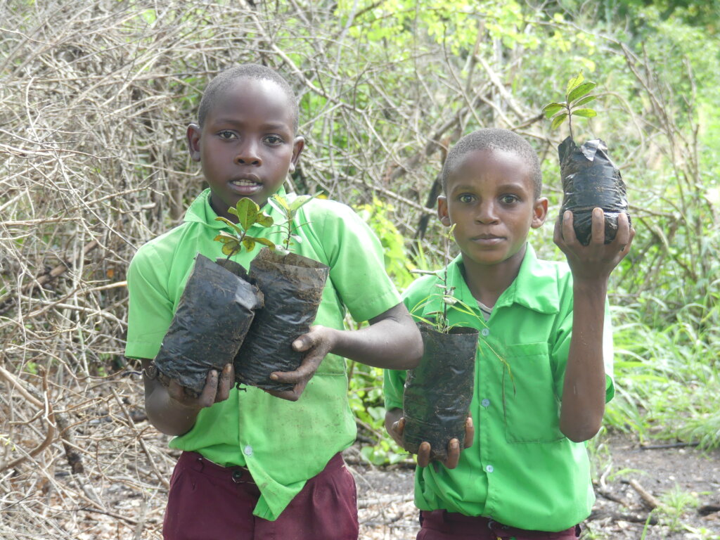 Help Secure Dakatcha Woodland in Kenya