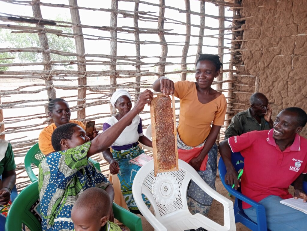 Help Secure Dakatcha Woodland in Kenya