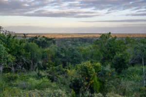 Dakatcha Landscape