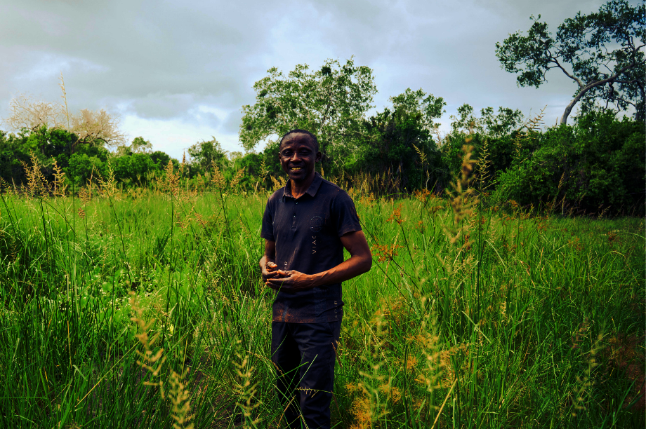 Help Secure Dakatcha Woodland in Kenya