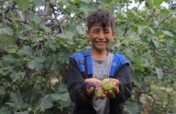 Provide Food, Water, and Care for Orphans in Gaza