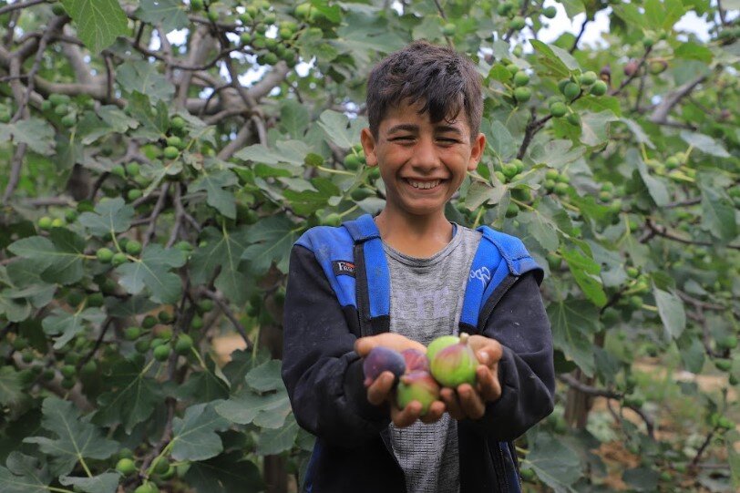 Provide Food, Water, and Care for Orphans in Gaza