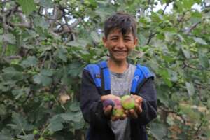 Provide Food, Water, and Care for Orphans in Gaza
