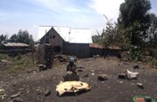 Project for Combating Deforestation and Forest Deg