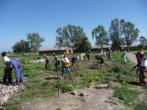 Cleaning the land of trash