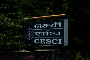 Image sourced from CESCI