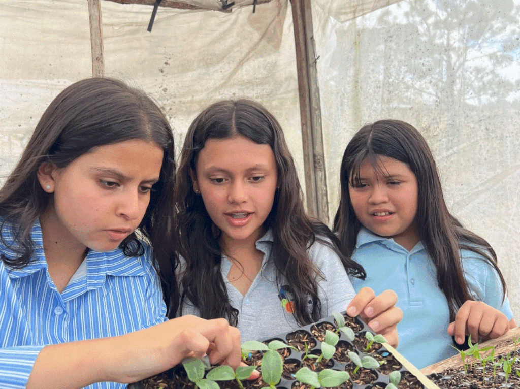 BioRaiz: Youth Scientists Reviving Soil