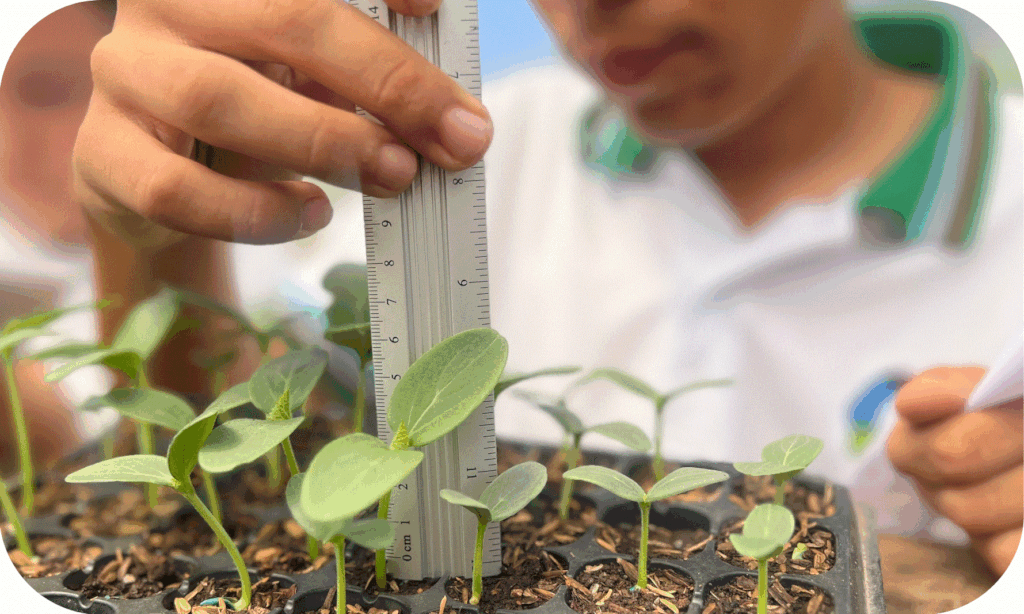 BioRaiz: Youth Scientists Reviving Soil