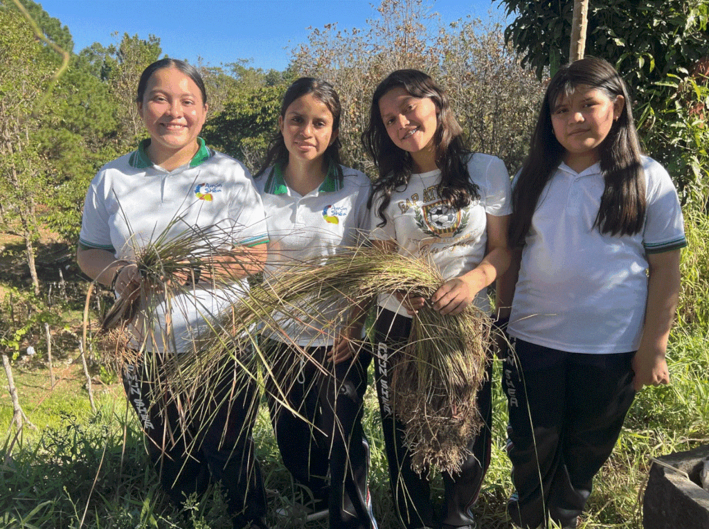 BioRaiz: Youth Scientists Reviving Soil