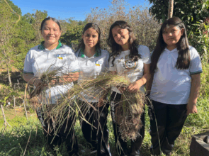 BioRaiz: Youth Scientists Reviving Soil