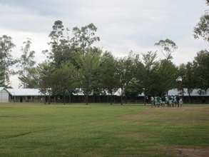 Munami Primary Gym Class
