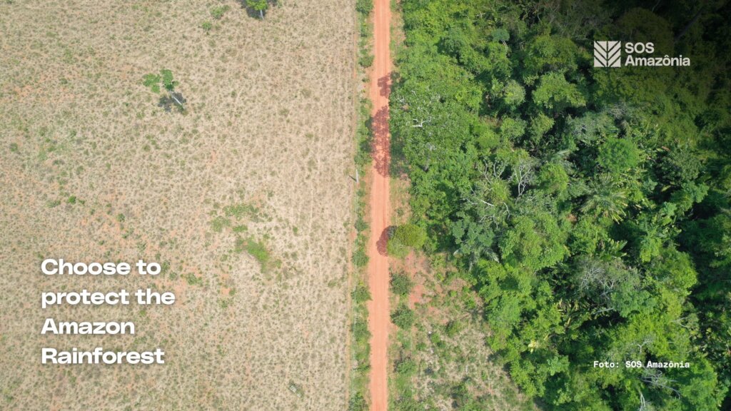 Protect the Amazon Rainforest