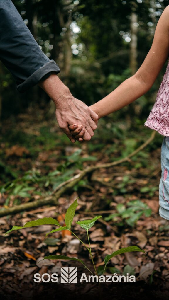 Protect the Amazon Rainforest