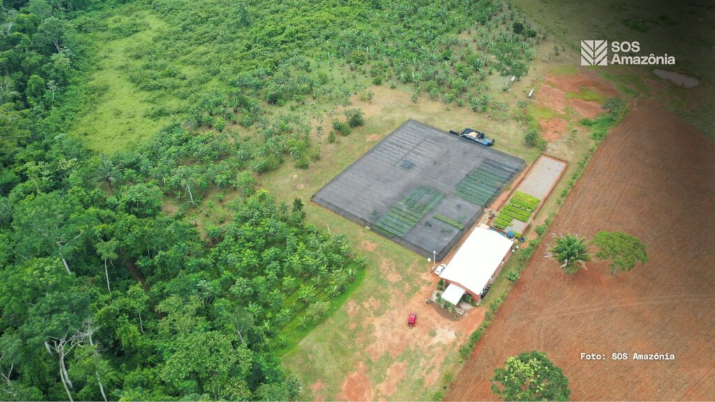 Protect the Amazon Rainforest