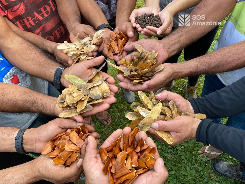 Protect the Amazon Rainforest