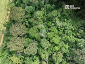 Amazon Rainforest