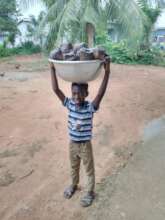 Child Labour