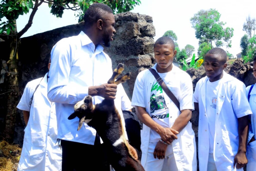 Donate Goats to Feed Orphans in Goma