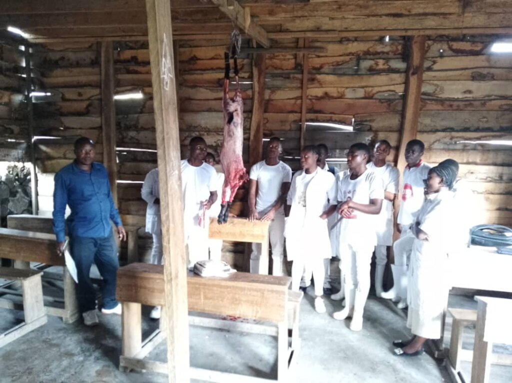 Donate Goats to Feed Orphans in Goma