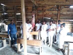 Donate Goats to Feed Orphans in Goma