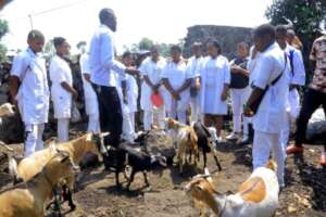 Donate Goats to Feed Orphans in Goma