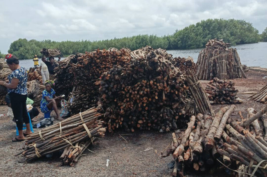 Save Keta Mangroves: Eco-Jobs for Ghana