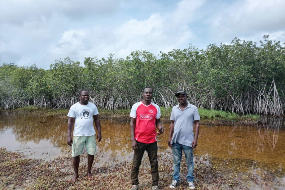 Save Keta Mangroves: Eco-Jobs for Ghana