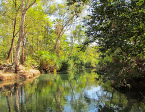 Protecting 23,000 hectares in Queensland