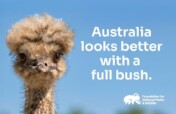 Bring Back the Bush