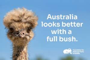 Bring Back the Bush