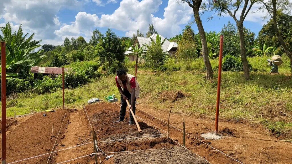 Multicultural partners plant cocoa in the DR Congo