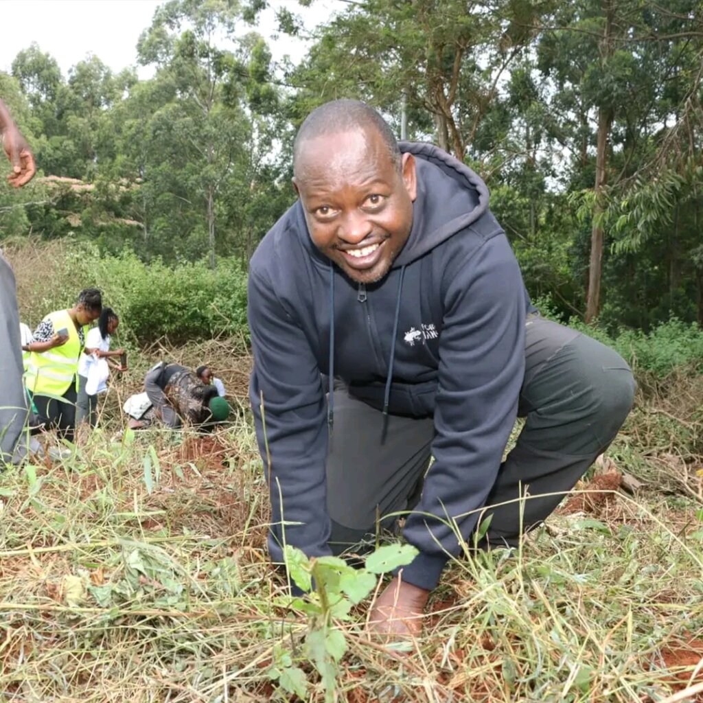 Multicultural partners plant cocoa in the DR Congo