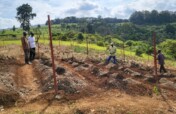Multicultural partners plant cocoa in the DR Congo