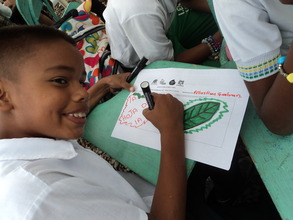 Environmental Workshops