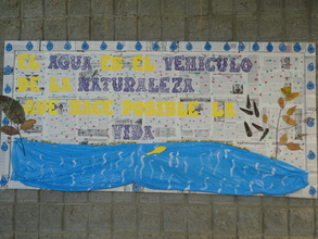 Environmental activities in local public school