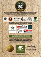Role of Honour Certificate