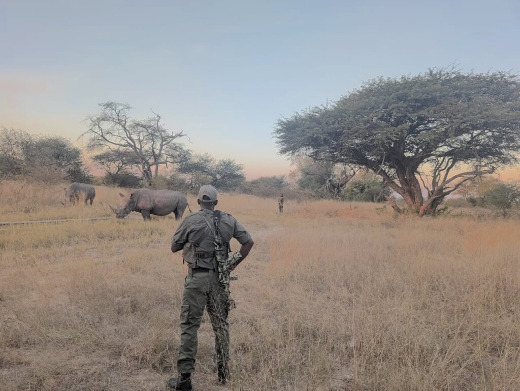 The Shepherd's Shield Protecting Frontline Rangers