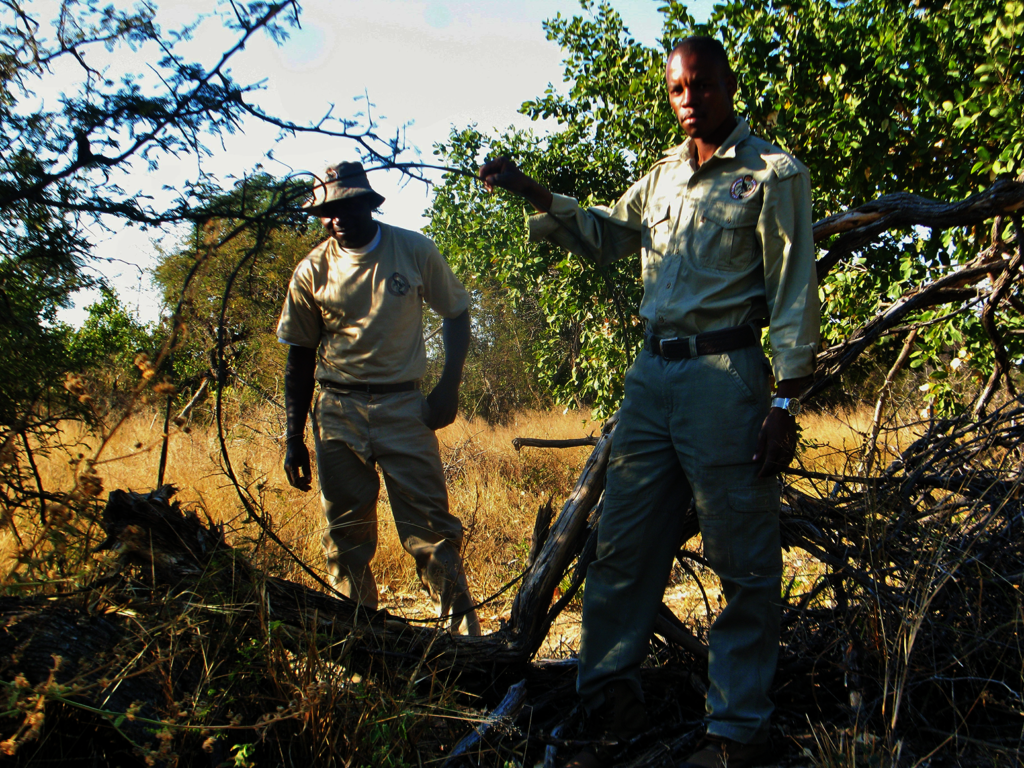 The Shepherd's Shield Protecting Frontline Rangers