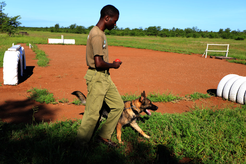 The Shepherd's Shield Protecting Frontline Rangers