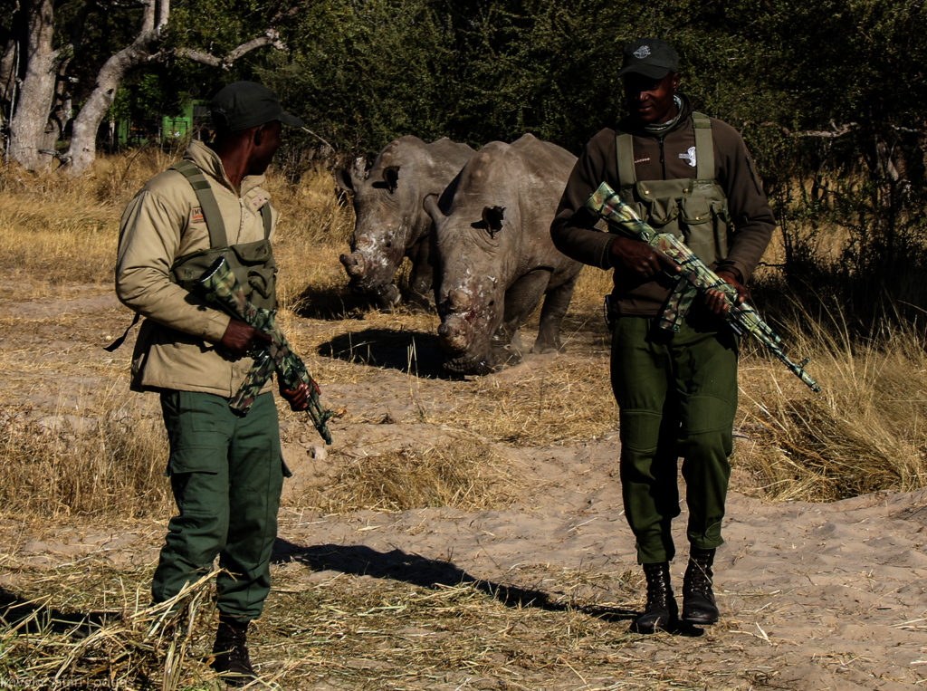 The Shepherd's Shield Protecting Frontline Rangers