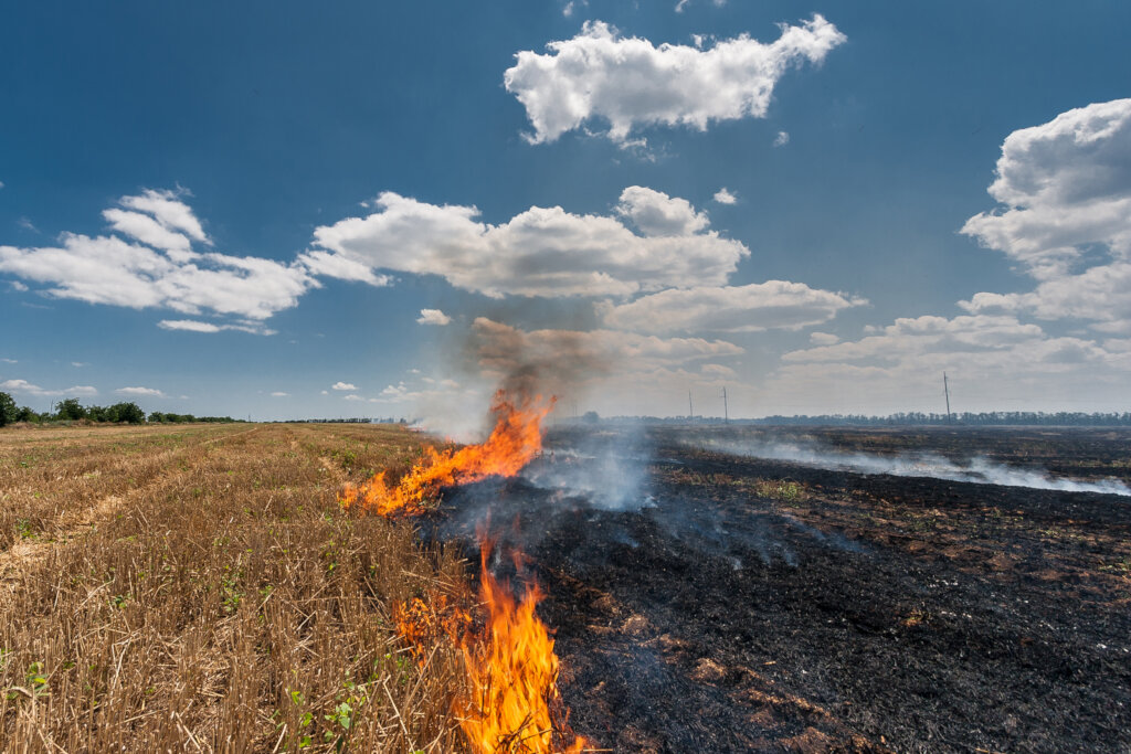 Protecting Colombia's Biodiversity with Journalism