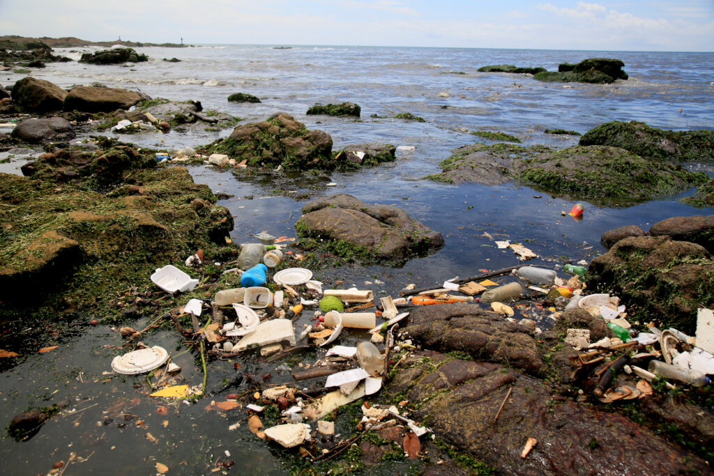 Protecting Colombia's Biodiversity with Journalism