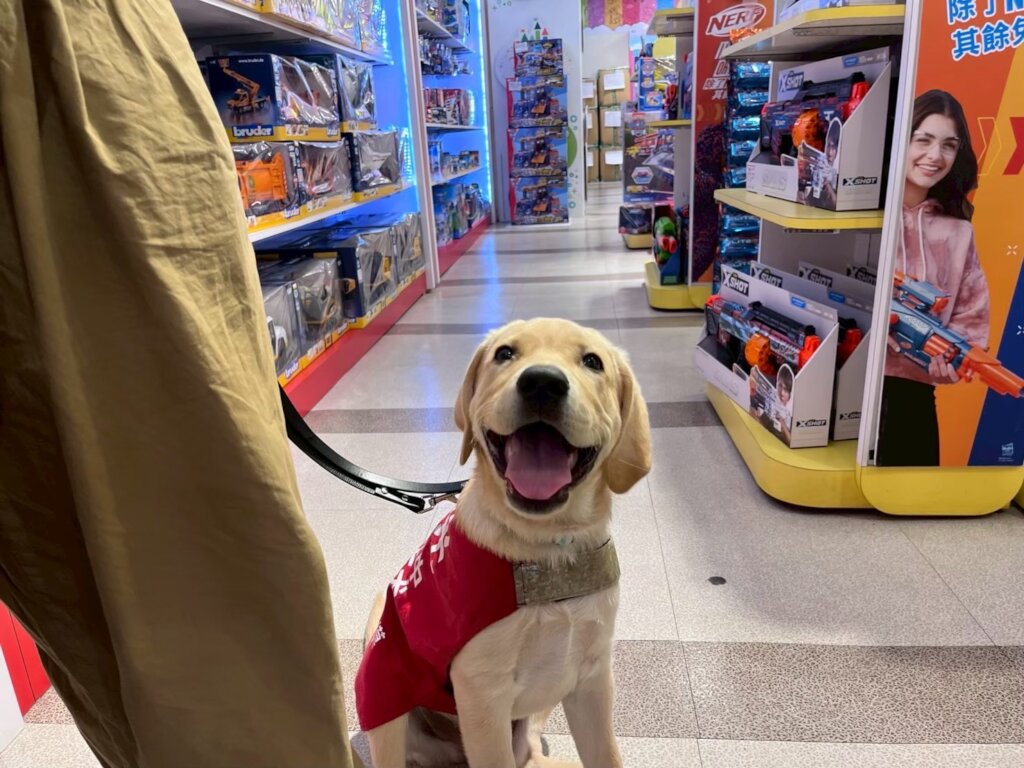 Support Guide Dogs for People in Need