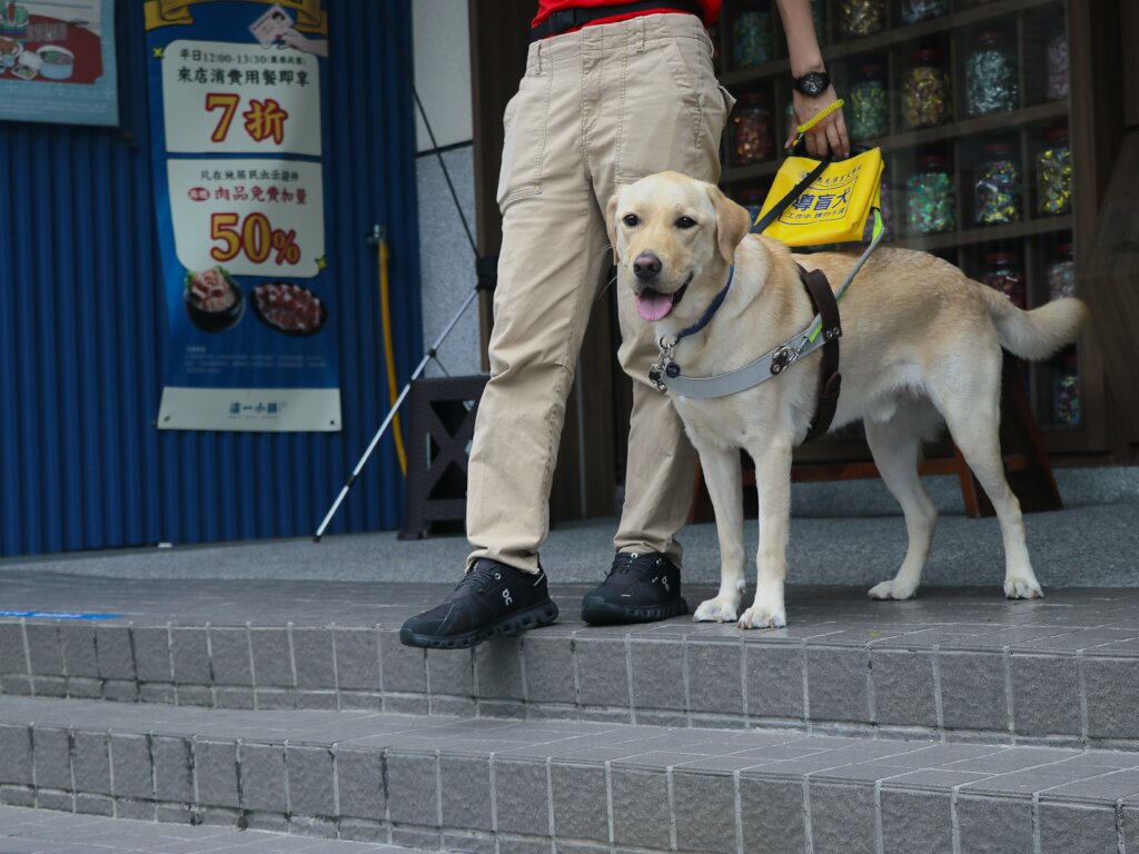 Support Guide Dogs for People in Need