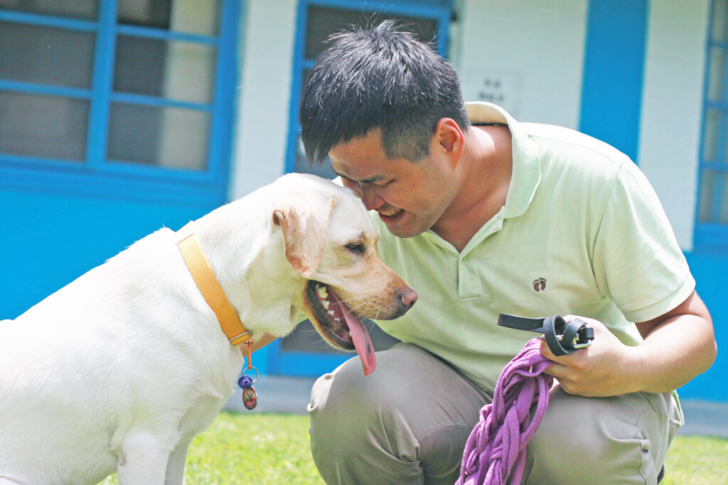 Support Guide Dogs for People in Need