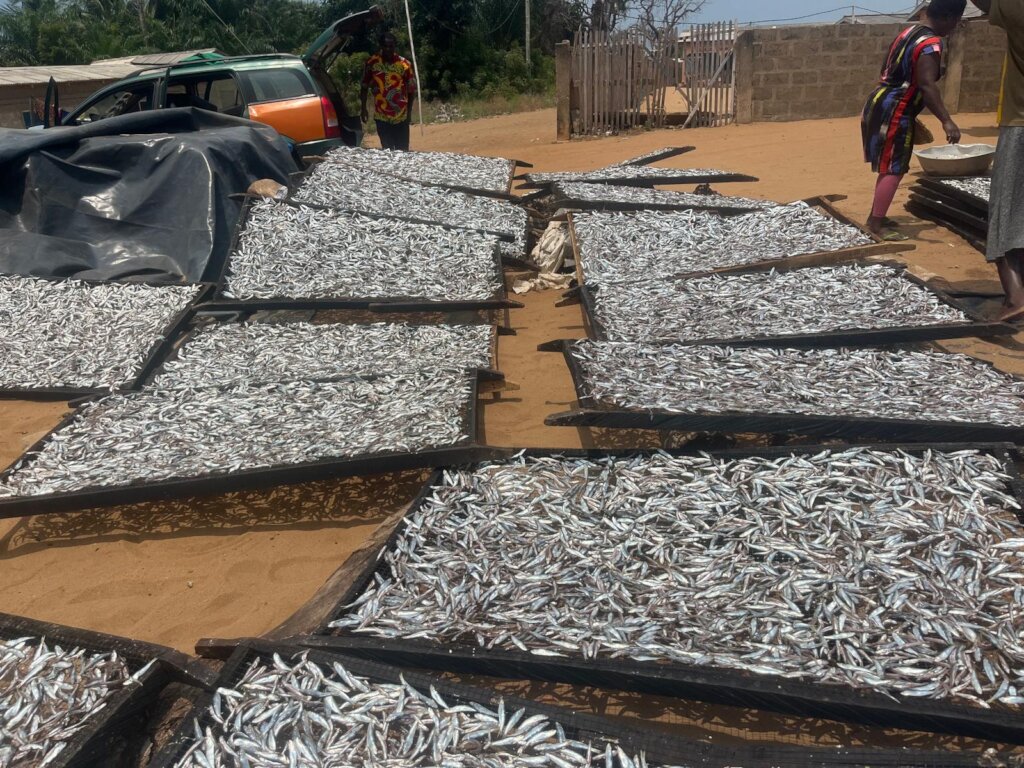 Restore Livelihoods After Tidal Wave Destruction