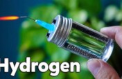 Green Hydrogen for Clean Energy & Community Devt.
