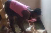 EMPOWER 200 RURAL WOMEN THROUGH POULTRY FARMING