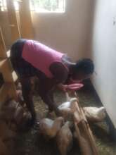 EMPOWER 200 RURAL WOMEN THROUGH POULTRY FARMING