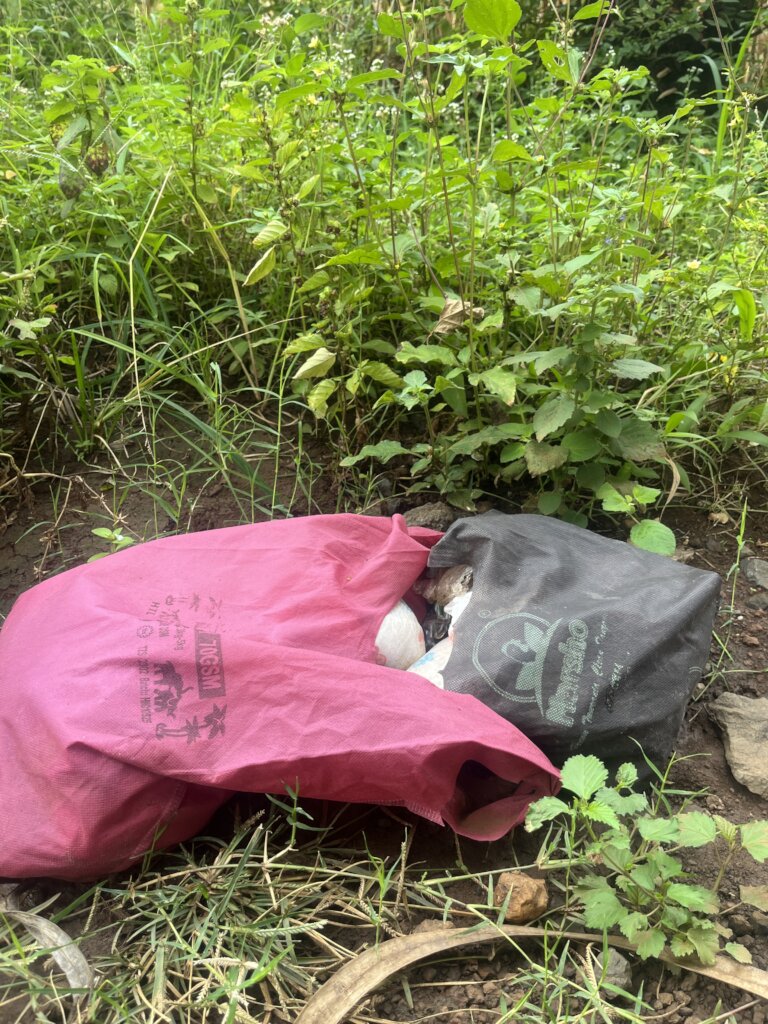 Safe Diaper Waste Management in Moshi,Tanzania